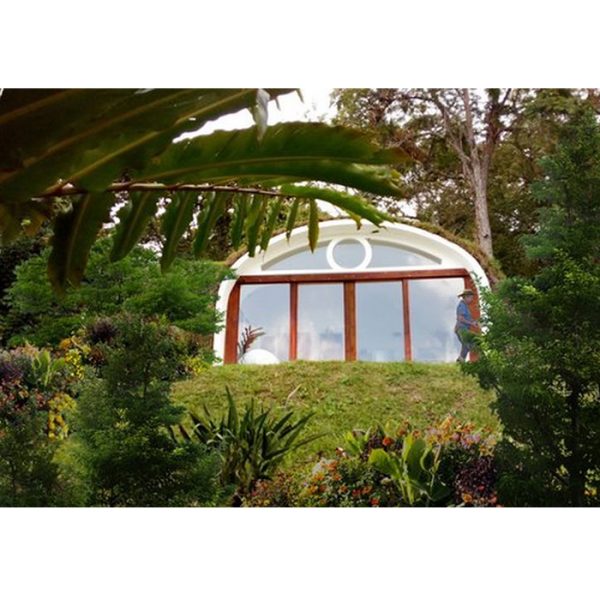 003 SEA GRAPE – Two windows – 25.6 Sq M - Image 5